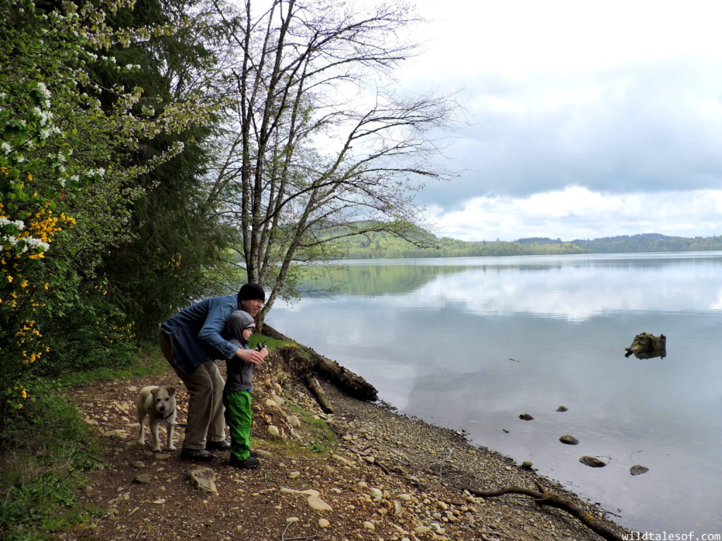 Celebrating Dad Sustainably: 11 Ways Families Can Go Green this Father’s Day | WildTalesof.com