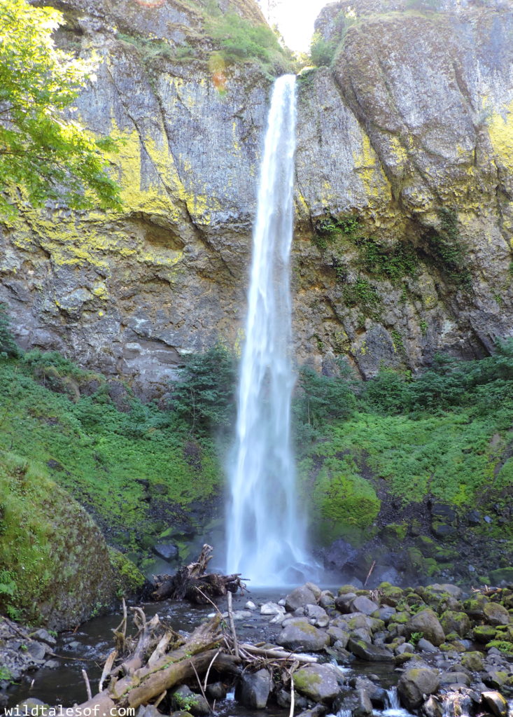 Portland, Oregon Day Trip: Columbia River Gorge | WildTalesof.com