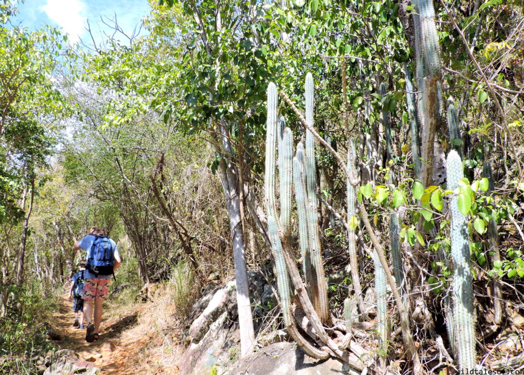 Travel in the Caribbean: Packing Tips for Families | WildTalesof.com