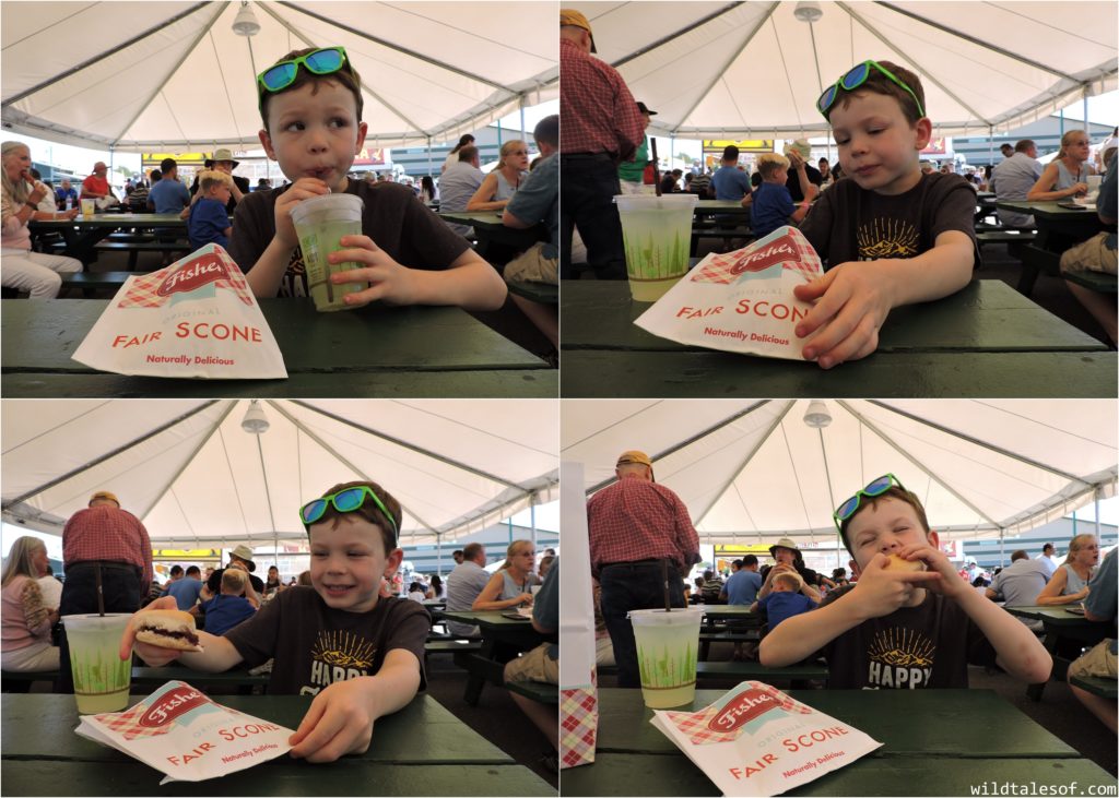 Late Summer Fun: Highlights from Washington's Evergreen State Fair | WildTalesof.com