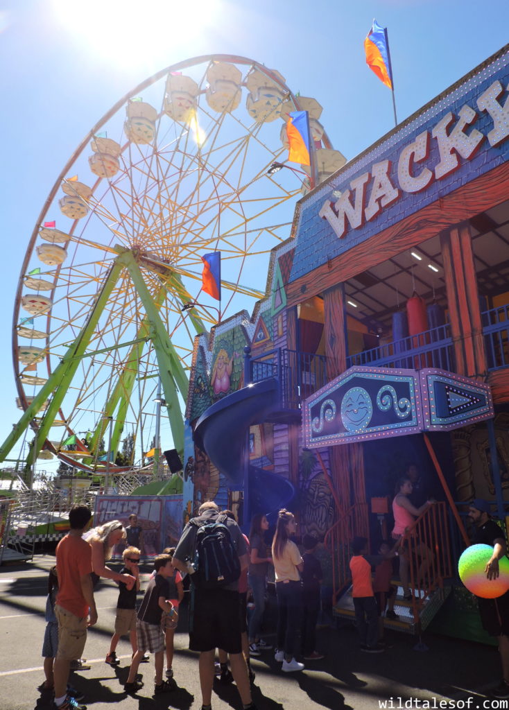 Late Summer Fun: Highlights from Washington's Evergreen State Fair | WildTalesof.com