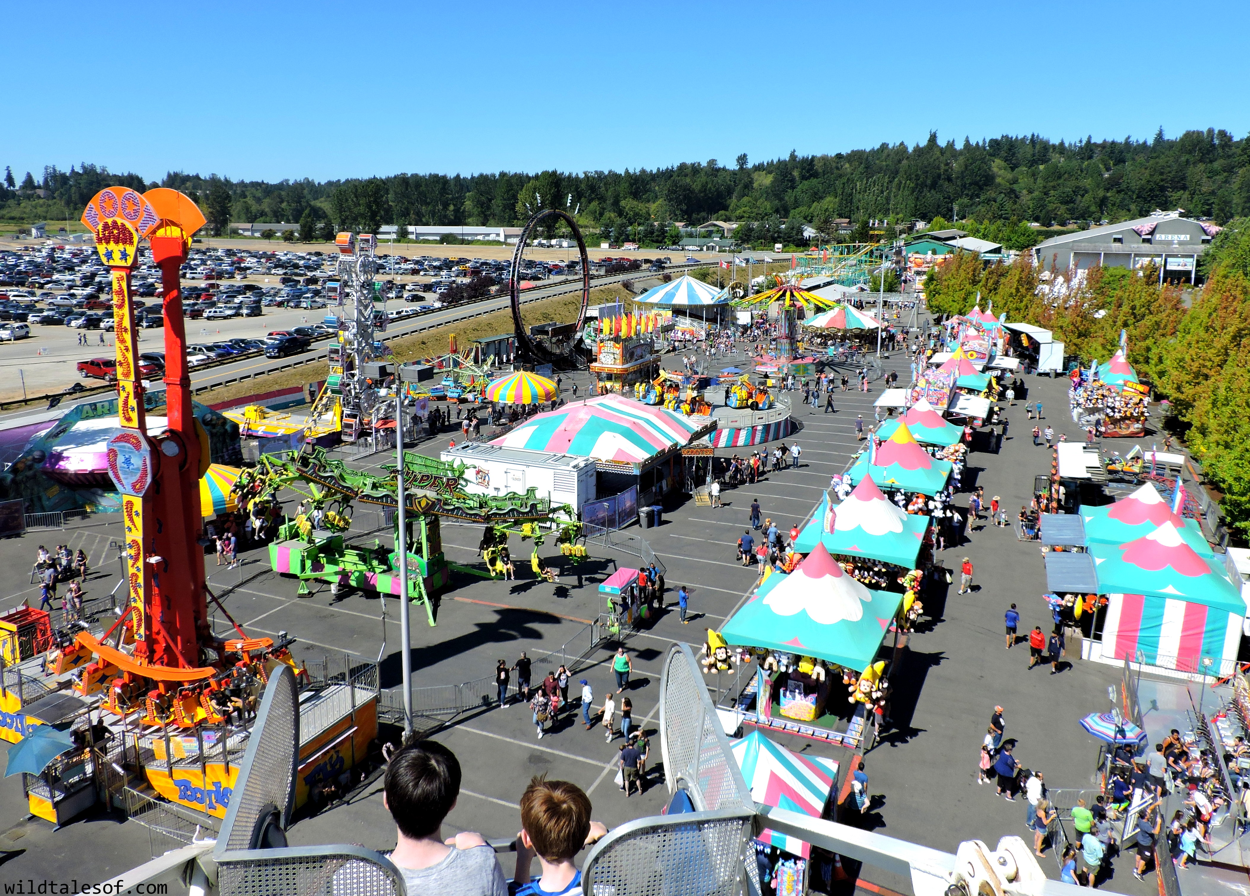 Late Summer Fun Highlights from Washington's Evergreen State Fair