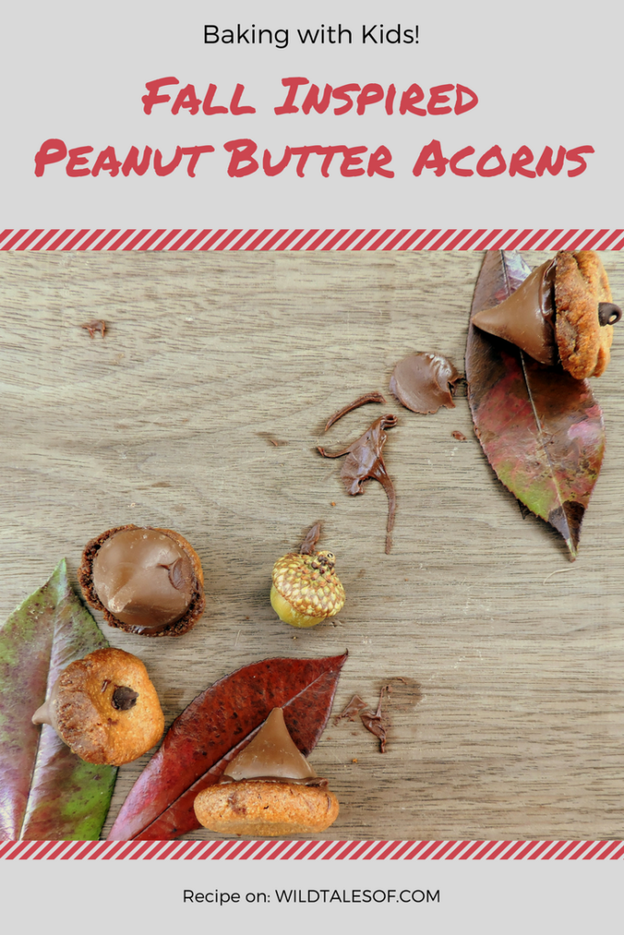 Fall Inspired Peanut Butter Acorns | WildTalesof.com