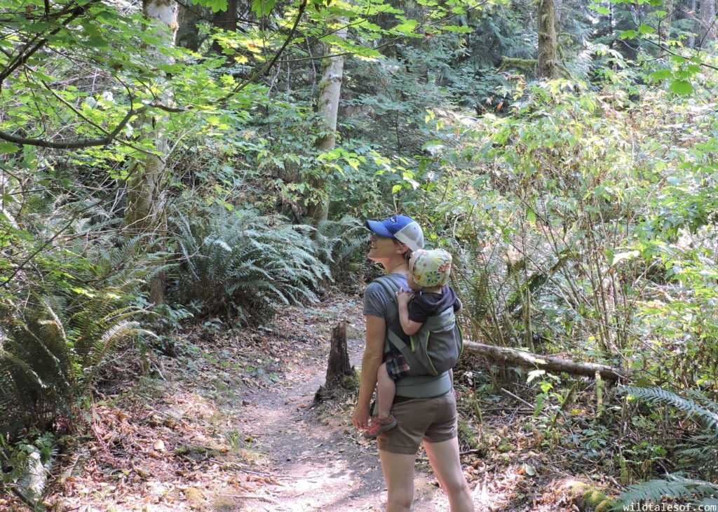 Onya Baby Pure Child Carrier Review | WildTalesof.com