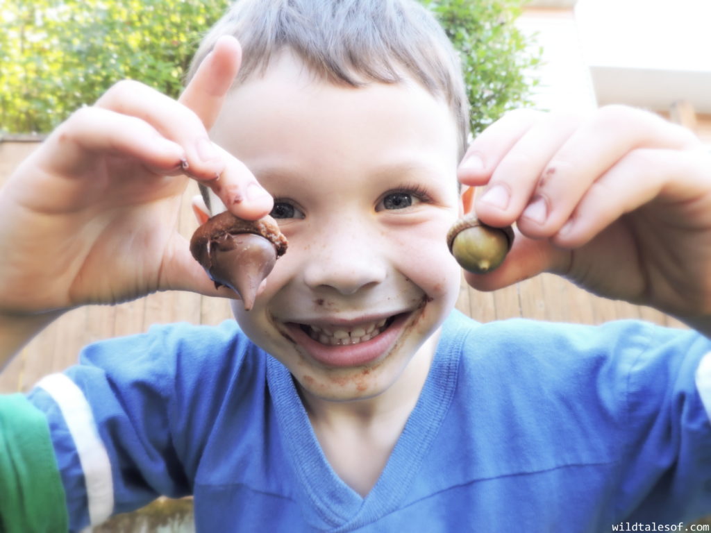 Fall Inspired Peanut Butter Acorns | WildTalesof.com