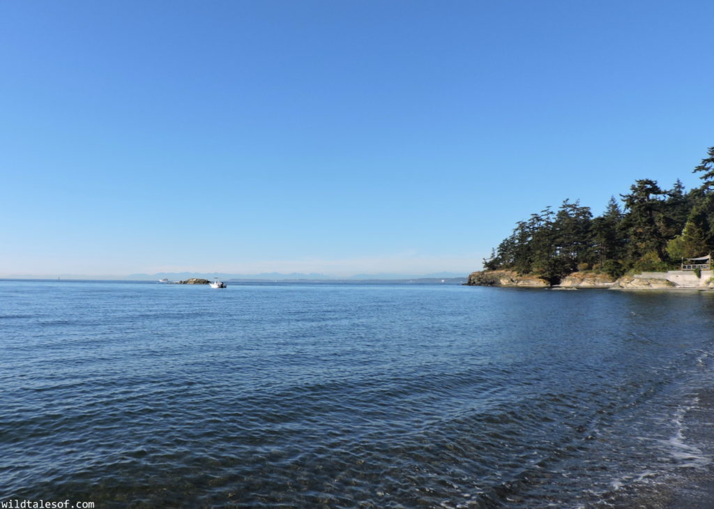 Lummi Island, WA Long Weekend with Kids | WildTalesof.com