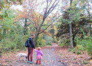 Fall Nature Walks: Tips for Fun and Enjoyment with Dr. Scholls® | WildTalesof.com