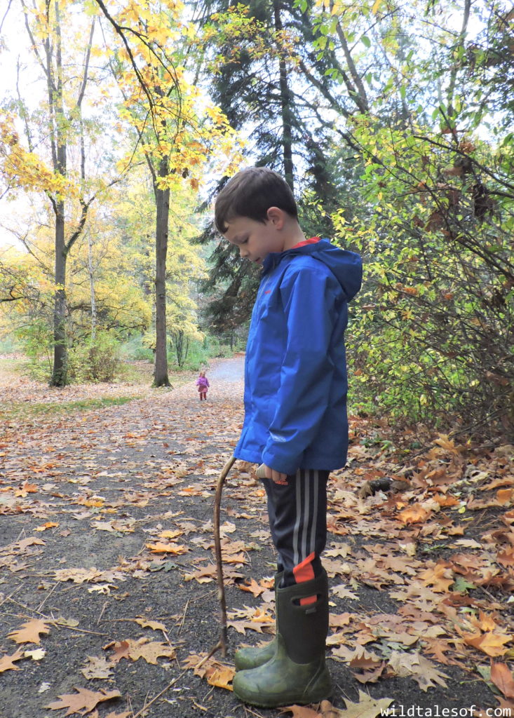 Fall Nature Walks: Tips for Fun and Enjoyment with Dr. Scholls® | WildTalesof.com