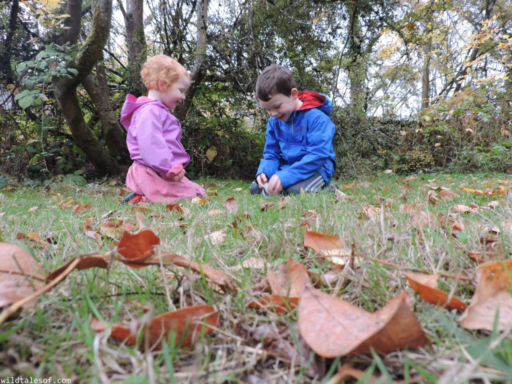 Fall Nature Walks: Tips for Fun and Enjoyment with Dr. Scholls® | WildTalesof.com