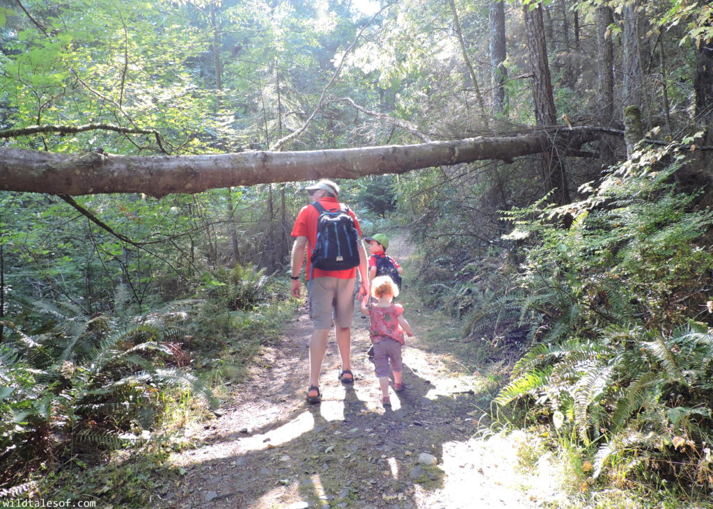 Lummi Island, WA Long Weekend with Kids | WildTalesof.com