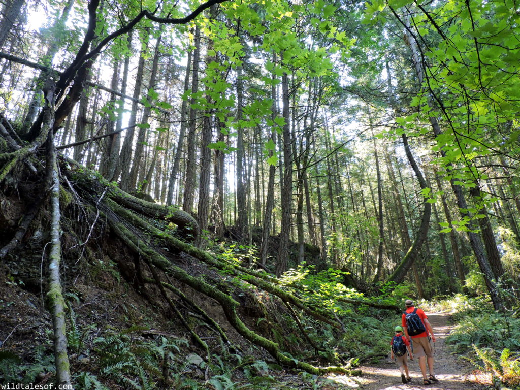 Lummi Island, WA Long Weekend with Kids | WildTalesof.com