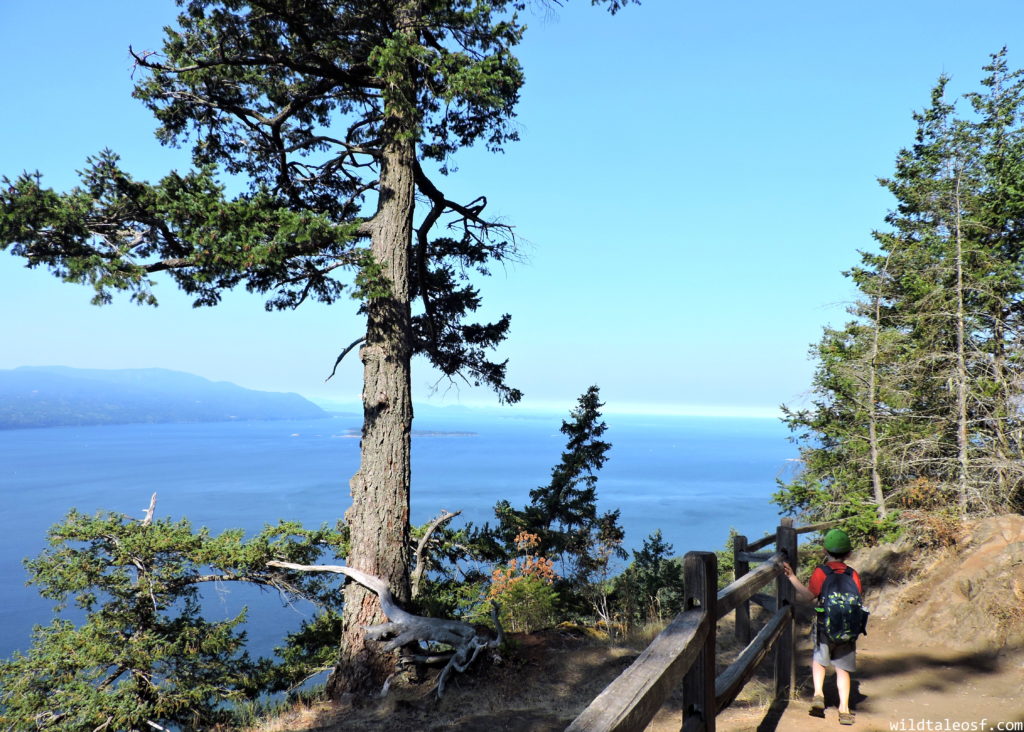 Lummi Island, WA Long Weekend with Kids | WildTalesof.com