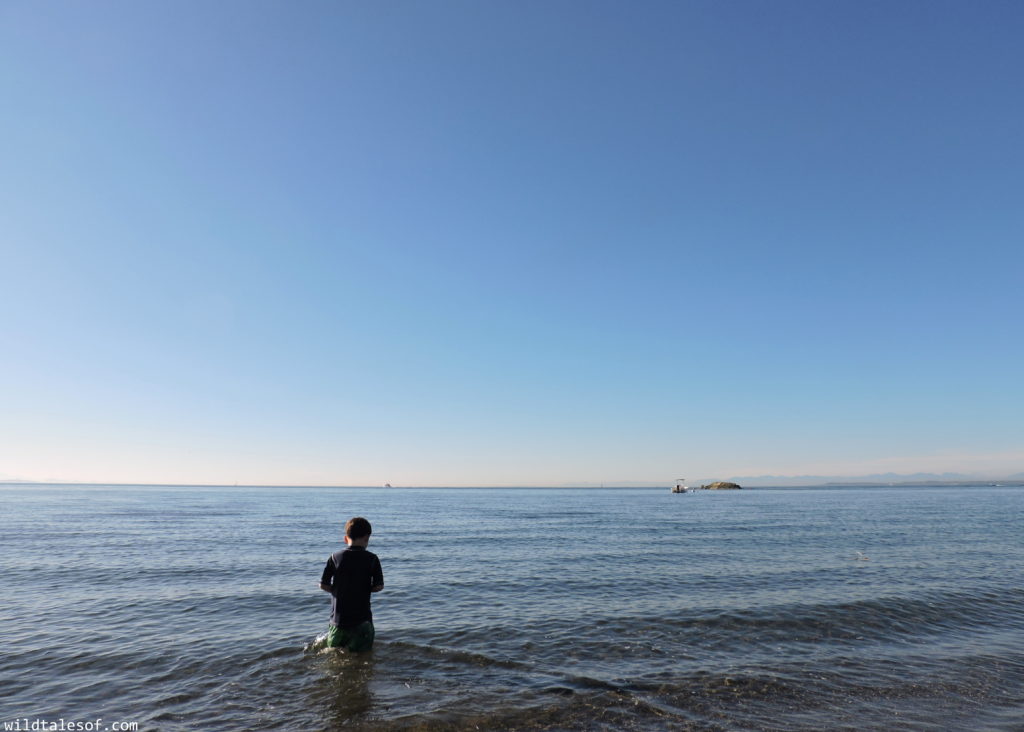 Lummi Island, WA Long Weekend with Kids | WildTalesof.com