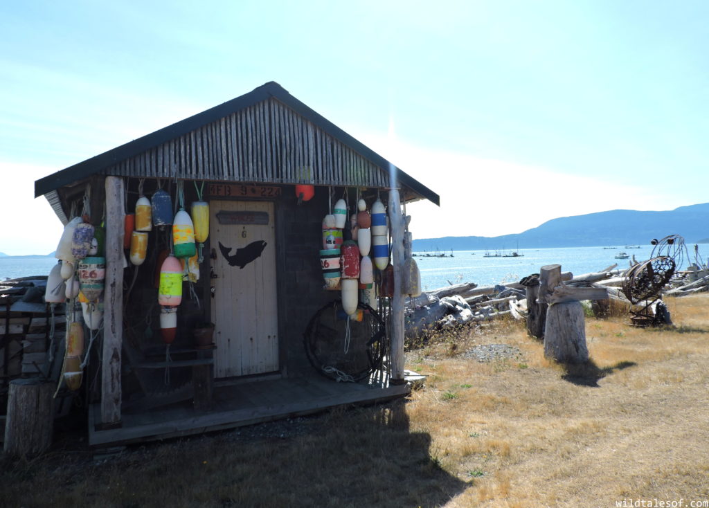 Lummi Island, WA Long Weekend with Kids | WildTalesof.com