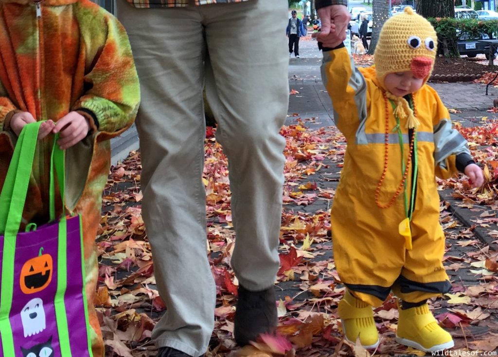 Rainy Weather Halloween Costume Idea: Yellow Duckling | WildTalesof.com