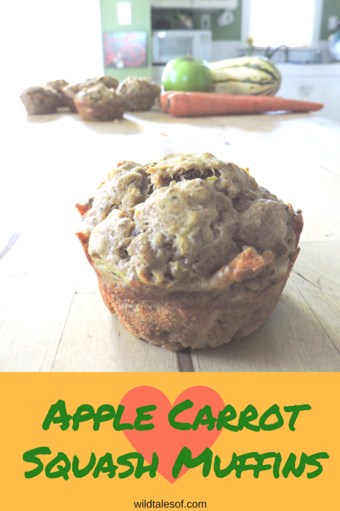 Healthy Breakfast for Adventure Families: Apple Carrot Squash Muffins | WildTalesof.com