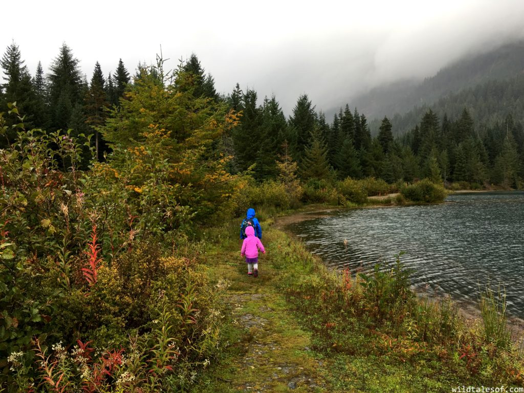 Fall Visit to Gold Creek Pond (Snoqualmie Pass, WA) with Kids | WildTalesof.com