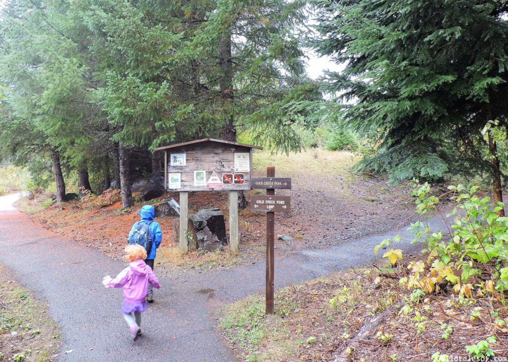 Fall Visit to Gold Creek Pond (Snoqualmie Pass, WA) with Kids | WildTalesof.com