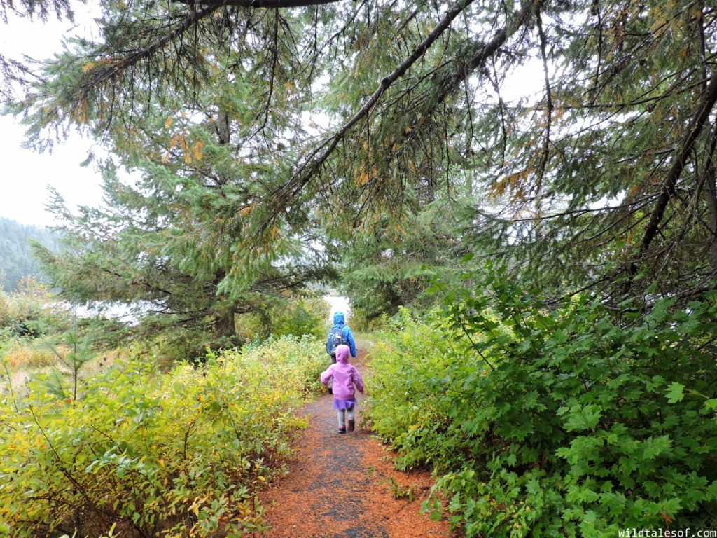 Fall Visit to Gold Creek Pond (Snoqualmie Pass, WA) with Kids | WildTalesof.com