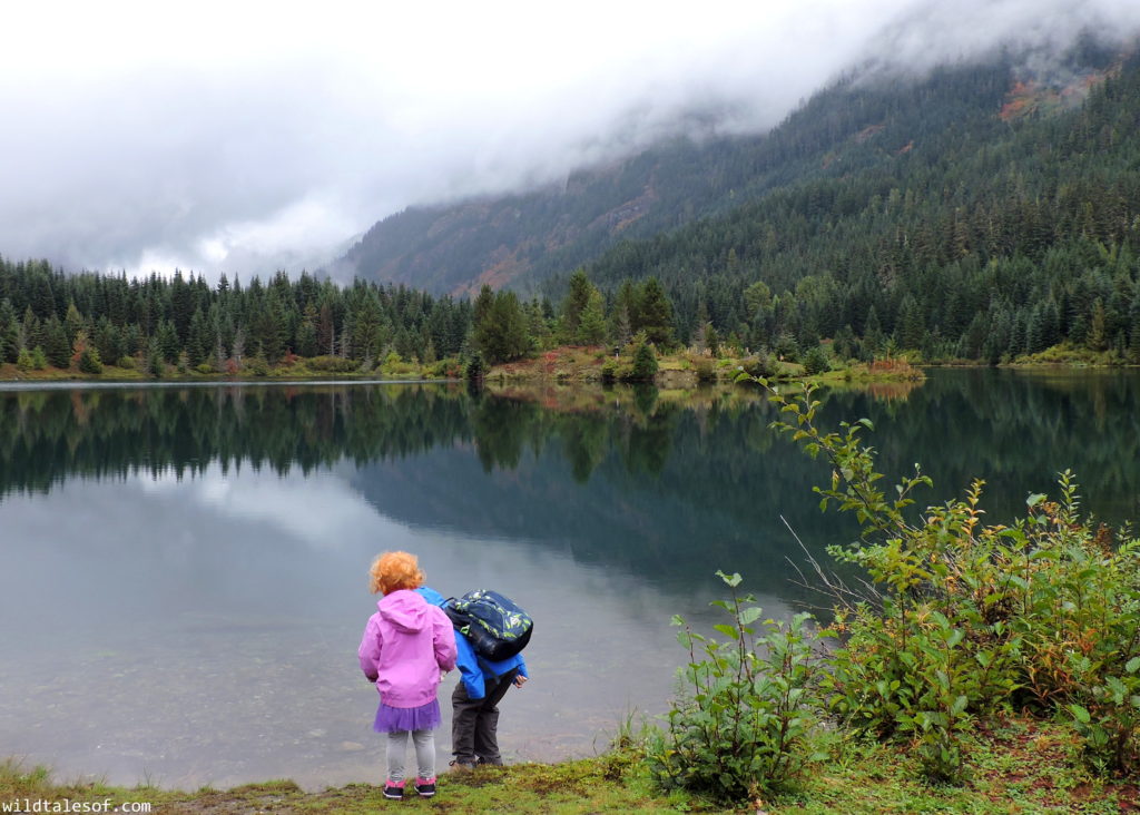 Fall Visit to Gold Creek Pond (Snoqualmie Pass, WA) with Kids | WildTalesof.com