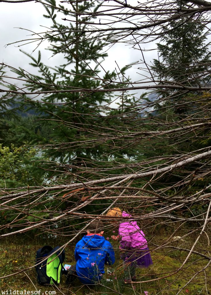 Fall Visit to Gold Creek Pond (Snoqualmie Pass, WA) with Kids | WildTalesof.com