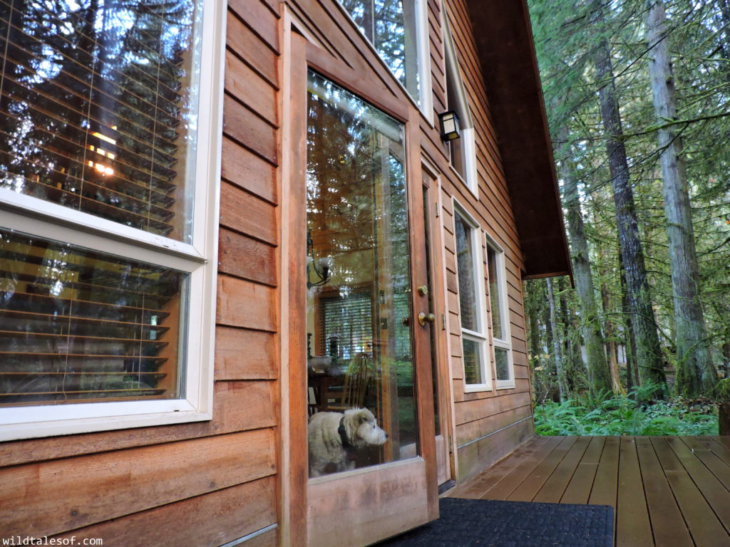 Mount Baker Chalet Rental: Rustic Retreat for Families | WildTalesof.com