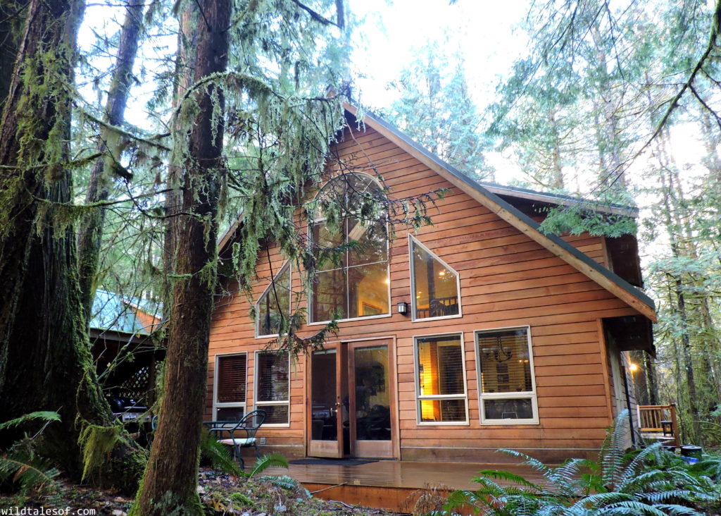 Mount Baker Chalet Rental: Rustic Retreat for Families | WildTalesof.com