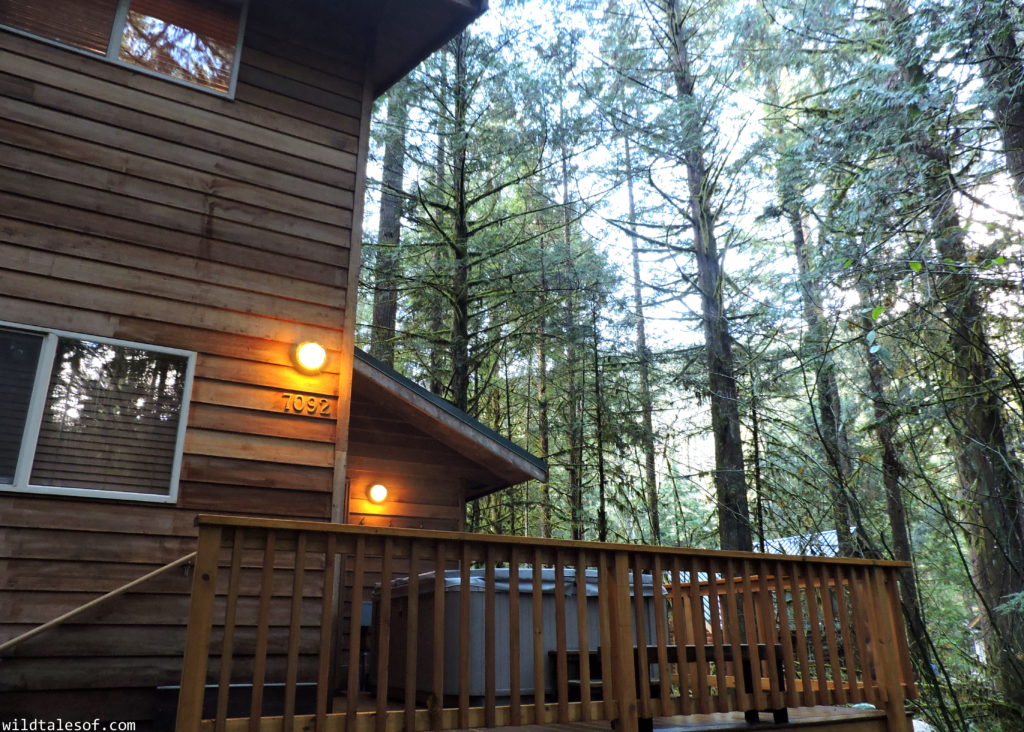 Mount Baker Chalet Rental: Rustic Retreat for Families | WildTalesof.com