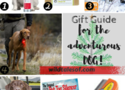 2017 Guide Guide for Adventurous Dogs | WildTalesof.com