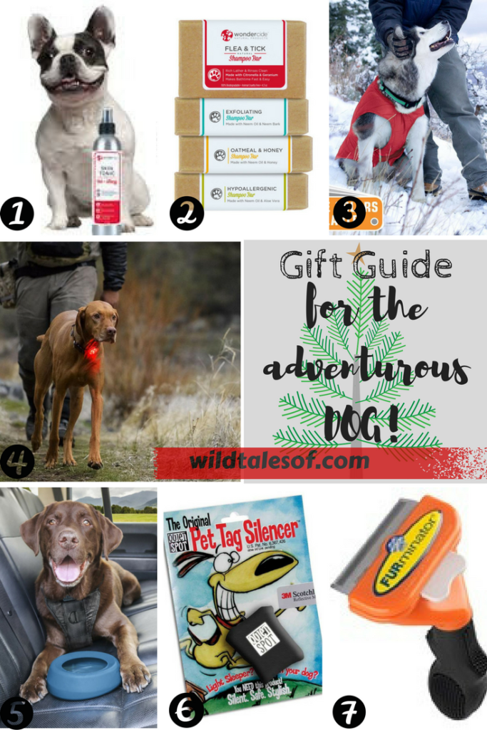 2017 Guide Guide for Adventurous Dogs | WildTalesof.com