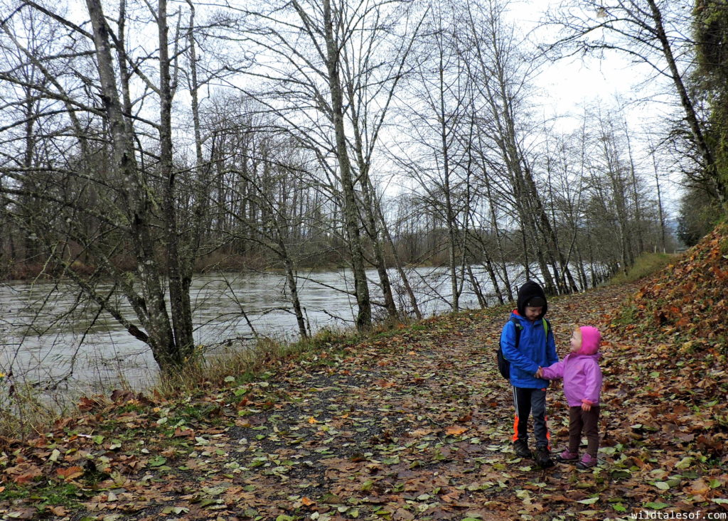 Families Get Outside December | WildTalesof.com