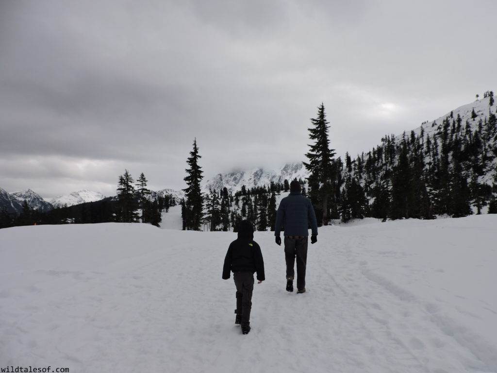 Washington State Winter Destinations for Families | WildTalesof.com