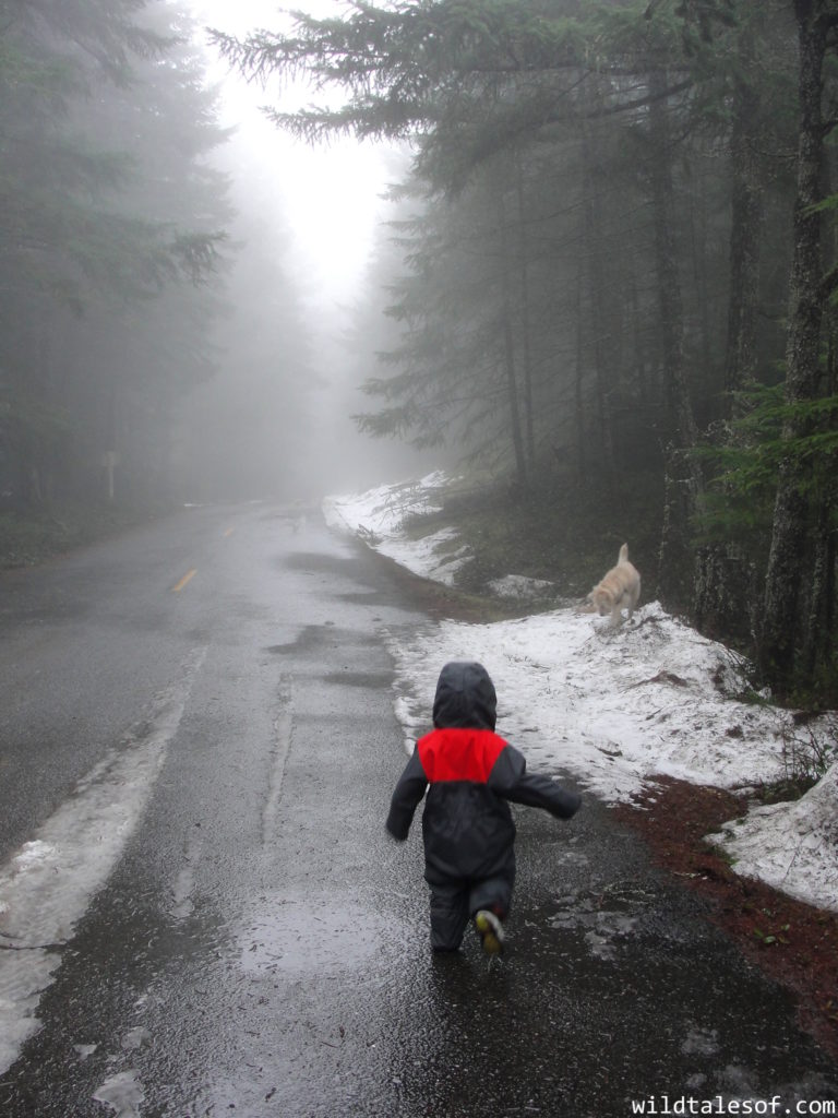 Washington State Winter Destinations for Families | WildTalesof.com