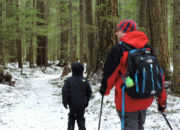 Washington State Winter Destinations for Families | WildTalesof.com