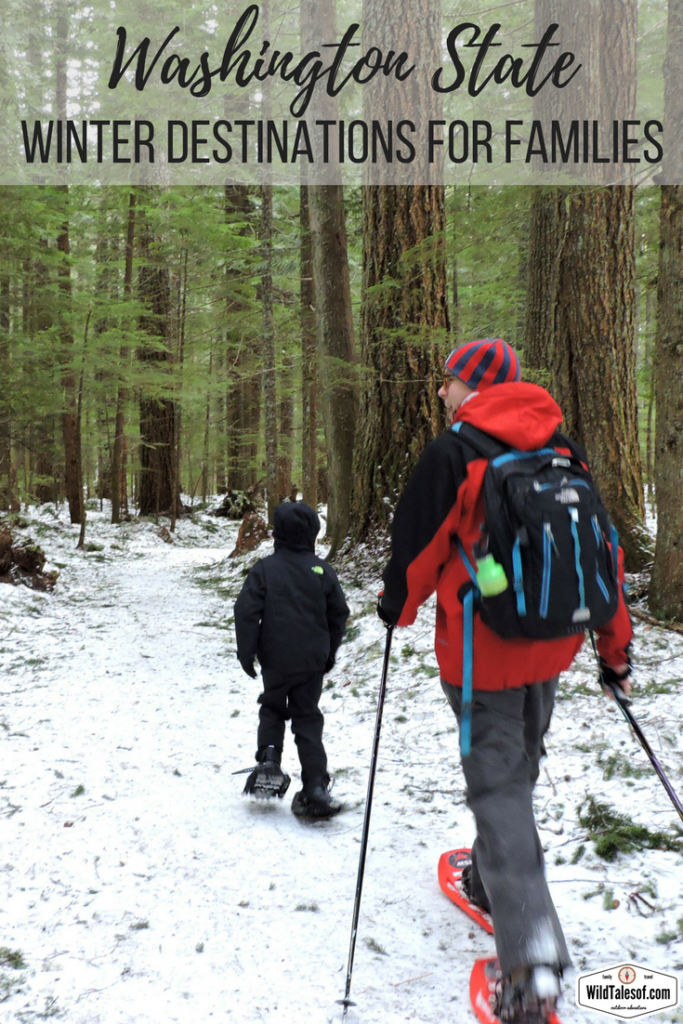 Washington State Winter Destinations for Families | WildTalesof.com