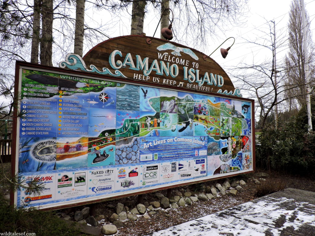Camano Island, Washington with Kids: Travel and Adventure Guide | WildTalesof.com