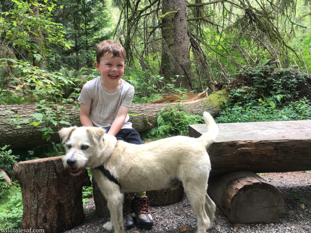 5 Simple Tips for Building an Active Outdoor Lifestyle with Dogs and Kids | WildTalesof.com