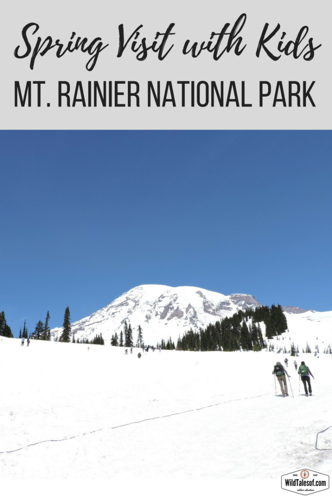 Spring Visit to Mount Rainier with Kids | WildTalesof.com