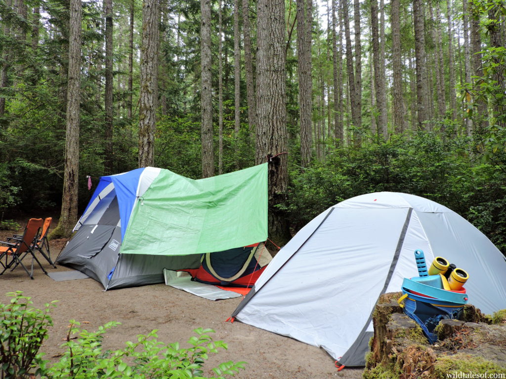 Camping with Kids at Washington’s Scenic Beach State Park | WildTalesof.com
