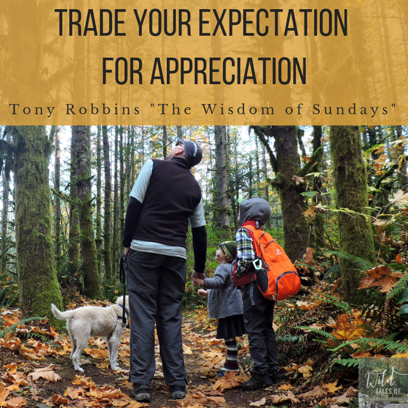 Trade your expectation for appreciation. -Tony Robbins | WildTalesof.com