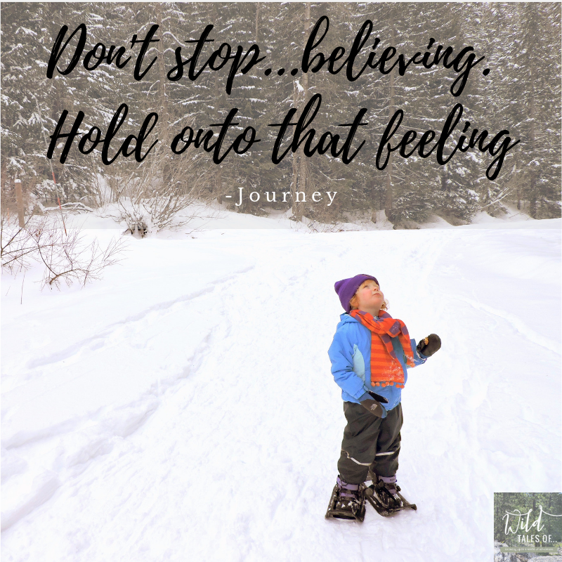 Don't Stop Believing. Hold onto that feeling. -Jouney | WildTalesof.com