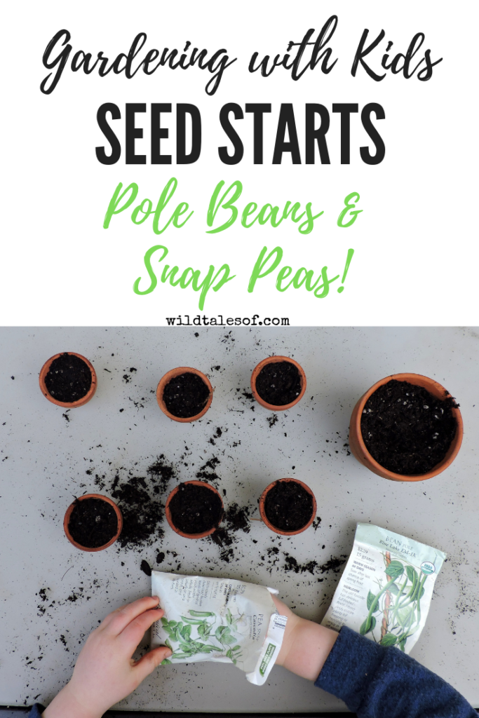 Spring Bucket List Progress: #1 Seed Starts! Pole Bean & Snap Pea Planting | WildTalesof.com