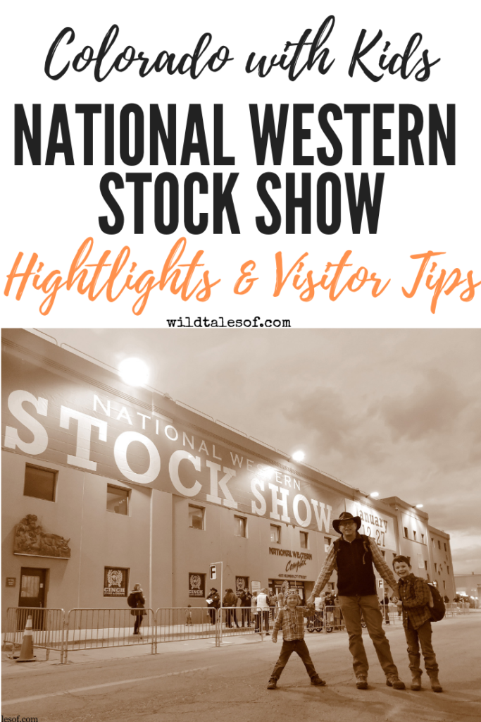 Denver's National Western Stock Show with Kids | WildTalesof.com