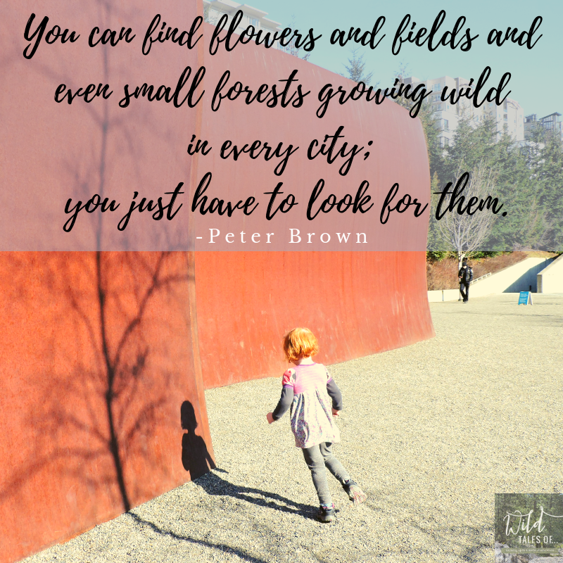 You can find flowers and fields and even small forests growing wild   in every city;   you just have to look for them. -Peter Brown | WildTalesof.com