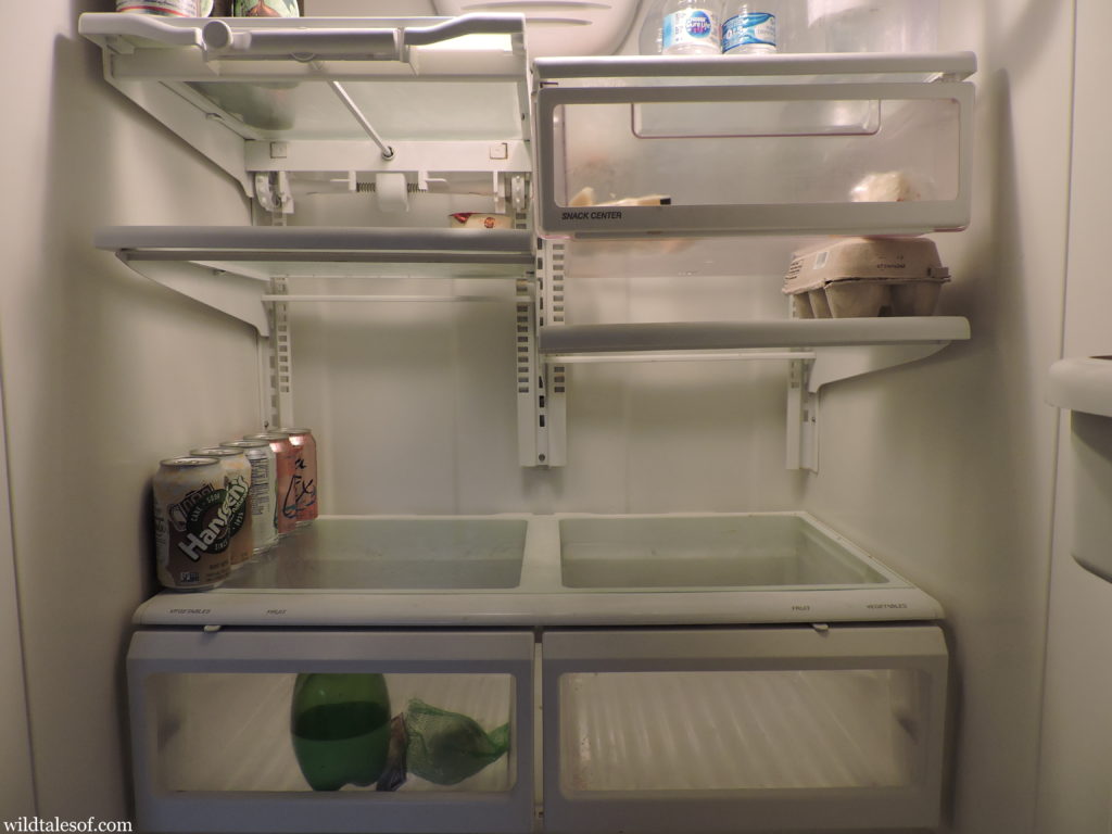 4 Reasons Why We Empty our Refrigerator Before Travel.