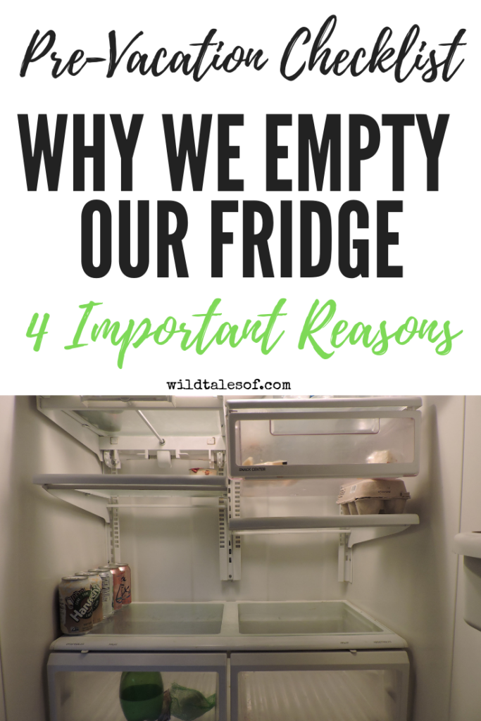 4 Reasons Why We Empty our Refrigerator Before Travel