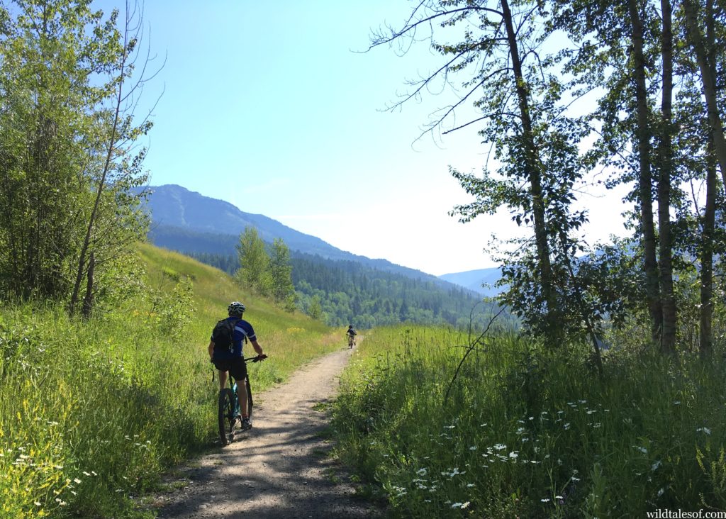 Fernie, BC with Kids: Summer Road Trip Itinerary | WildTalesof.com