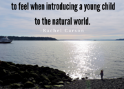 Introducing a young child to the natural world +News & Inspiration | WildTalesof.com