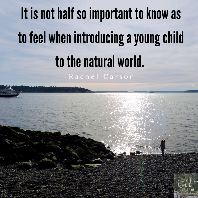 Introducing a young child to the natural world +News & Inspiration | WildTalesof.com