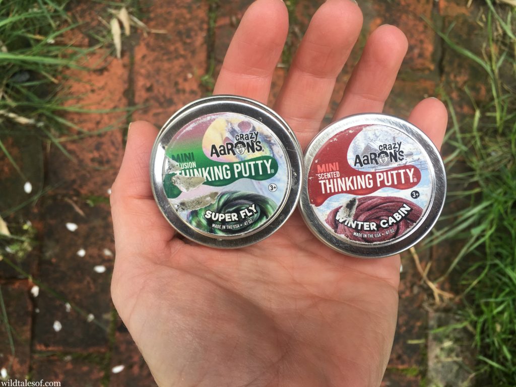 Waiting in Lines at Disneyland: Thinking Putty to the Rescue | WildTalesof.com
